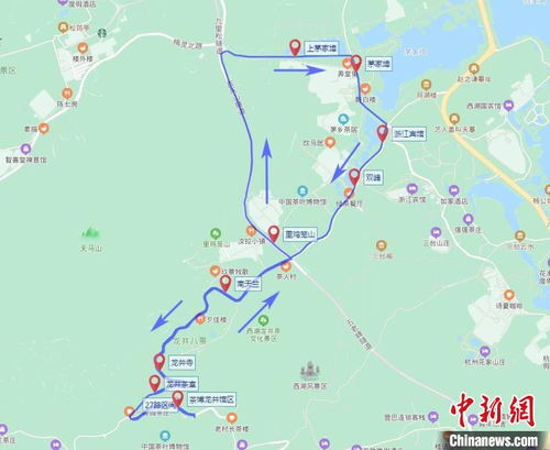 西湖景區(qū)開(kāi)通 龍井茶 專(zhuān)線 方便市民游客觀光飲茶