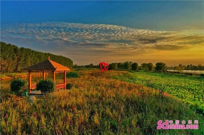 萬(wàn)畝荷花 碧波蕩漾,微山湖旅游區(qū)被確定為5A級(jí)旅游景區(qū)!