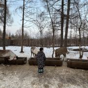 安圖長白山雪絨花馴鹿園游玩-長白山雪絨花馴鹿園門票多少錢/價格表-團購票價預(yù)定優(yōu)惠-景點地址在哪里/圖片介紹/參觀預(yù)約/旅游游覽順序及注意事項/營業(yè)時間-】