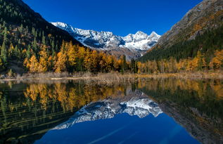 達古冰山景區深度開發洛格斯徒步游覽區