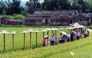 開發(fā)鄉(xiāng)村旅游,應關注這四類產品